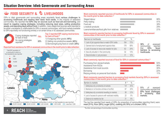 REACH NW Syria Rapid Needs Assessment
